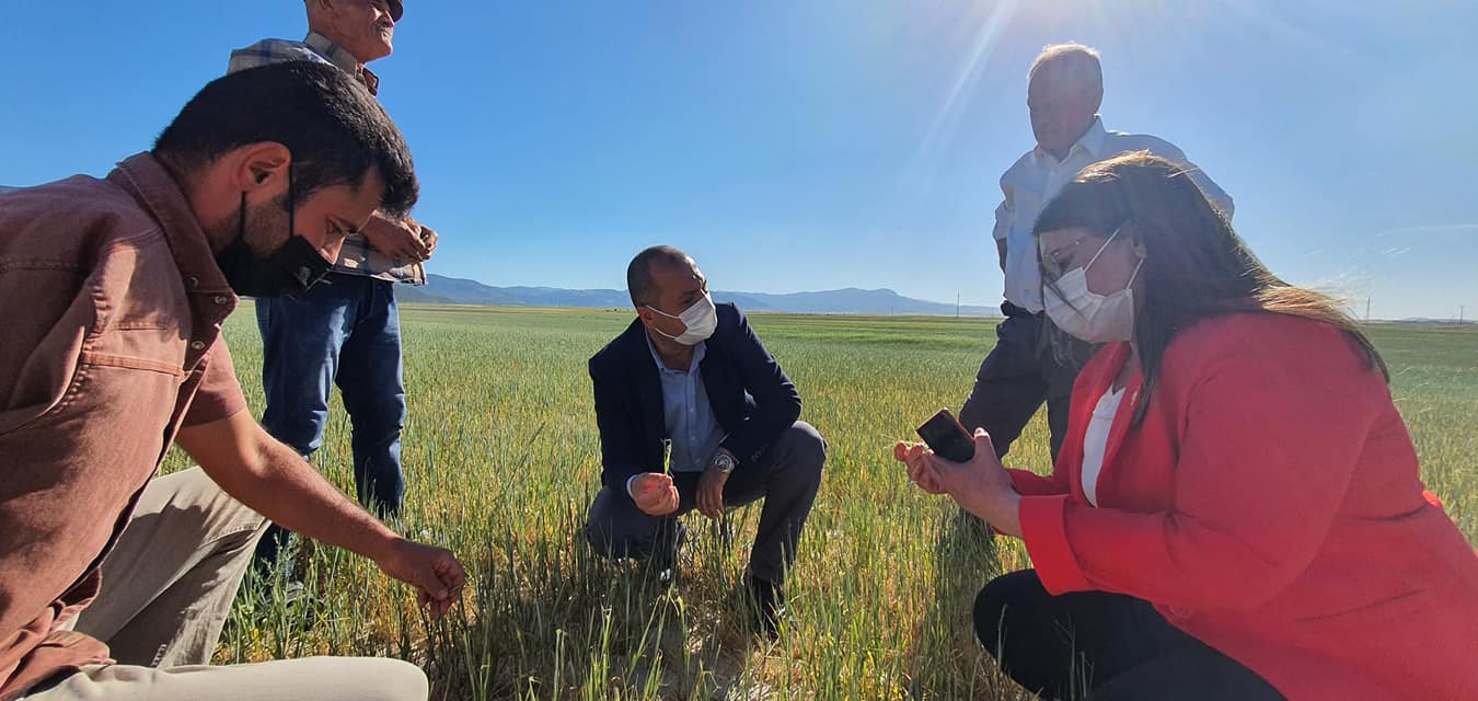 Bir bir veya daha fazla kişi, ayakta duran insanlar ve çim görseli olabilir