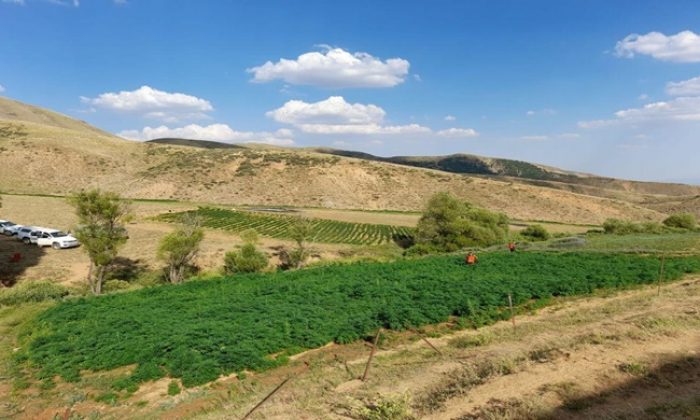 Jandarmadan PKK’nın Finans Kaynağına Büyük Operasyon