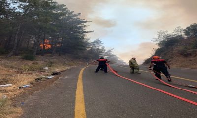 Maltepe Belediyesi ekipleri Marmaris’te yangınla savaşıyor