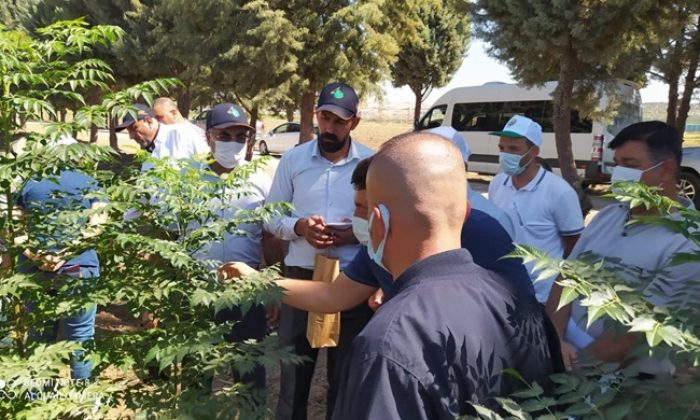 Geleceğe Nefes Ol projesi ülke dışında da devam ediyor