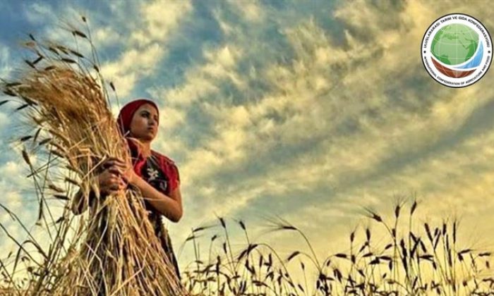 TARIMKON Teşkilat Başkanı Veziroğlu’ndan Kadın Kooperatiflerine destek