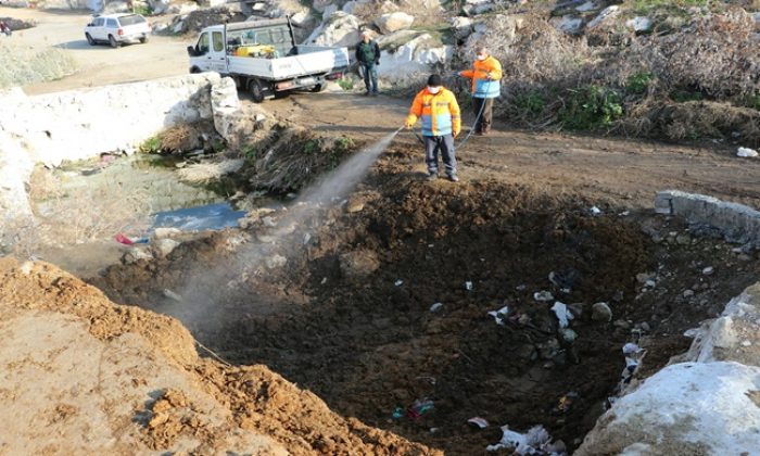 BÜYÜKŞEHİR VEKTÖR İLE MÜCADELEDE İŞİ SIKI TUTUYOR