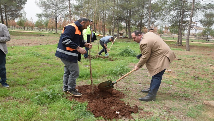 VİRANŞEHİR BELEDİYE BAŞKANI SALİH EKİNCİ, EKİPLERLE BERABER AĞAÇ DİKİP, CAN SUYU VERDİ