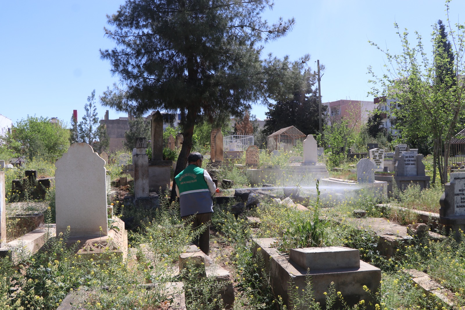 Viranşehir’deki mezarlıklarda temizlik ve bakım çalışmalarına devam ediyor