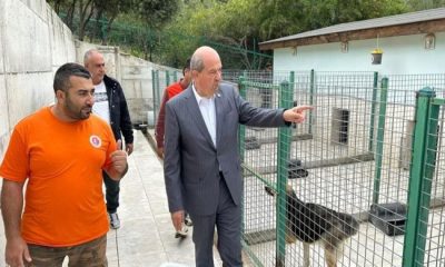 Cumhurbaşkanı Ersin Tatar, Girne’de bulunan köpek barınağını ziyaret etti