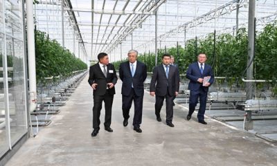 Cumhurbaşkanı Almatı bölgesindeki endüstriyel sera kompleksini ziyaret etti