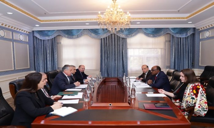 Meeting of the Minister of Foreign Affairs of the Republic of Tajikistan with the Assistant Secretary General of the Organization of Islamic Cooperation