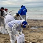 Birleşik Rusya ve MGER gönüllüleri, Anapa ve Temryuk bölgesindeki kıyı şeridinden 10 bin tonun üzerinde petrol ürününün toplanmasına yardımcı oldu